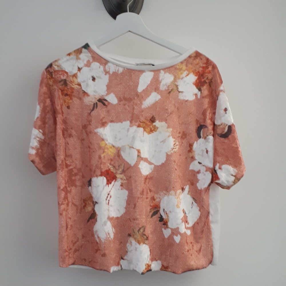 Zara velvet top